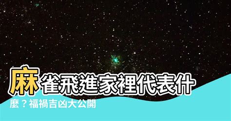 麻雀飛進家裡代表什麼|【麻雀飛進家裡代表什麼】飛雀臨門，吉兆還是兇兆？麻雀飛進家。